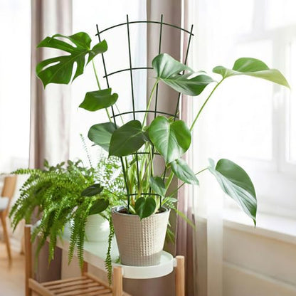 Thealyn 32" Metal Plant Trellis, Climbing Plant Support, 4 Pack (Green) - color: Green, size: 32 inch
