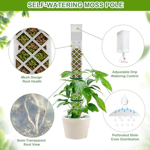 12 Inch Self Watering Moss Pole for Climbing Plants, D Shaped & Stackable