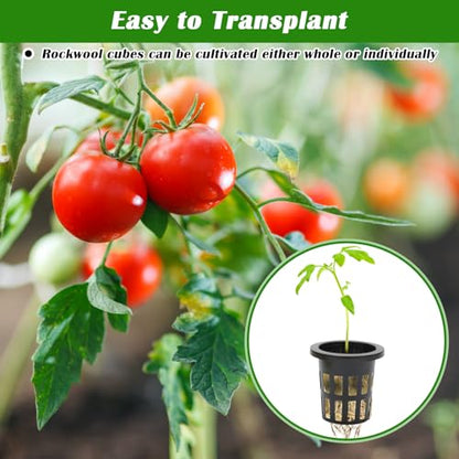 50 PCS 1" Rockwool Cubes & 50 PCS 1.5" Net Cups for Hydroponics - color: Black