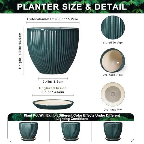 Ceramic Flower Pots, 6 Inch Planters with Saucer, Blackish Gree - color: Blackish Green, size: 6 Inch