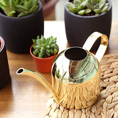 Small Watering Can for Indoor Plants, 15oz/450ml Stainless Steel Long Spout Watering Can for Succulents, Herbs (Gold) - color: Gold