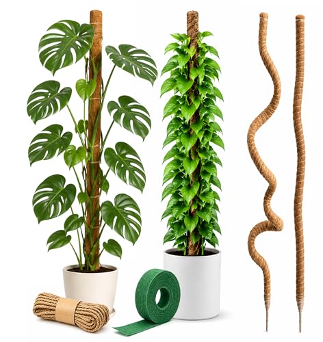 Craft911 Moss Pole Monstera Plant Support, 2 Pack 64" Bendable - size: 2-Pack (64 in)