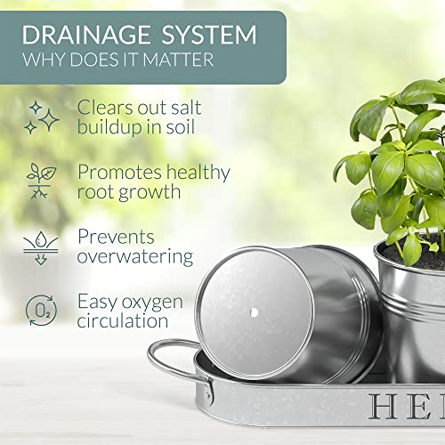 Barnyard Designs Indoor Herb Garden Planter Pots Set/3 (Galvanized) - color: Galvanized