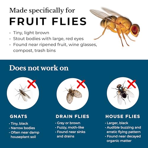 Wondercide - Fruit Fly Traps for Indoors - 5.4 oz, 2 Pack
