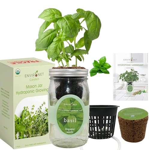 Hydroponic Growing Kit, Self-Watering Mason Jar Herb Garden Starter Kit Indoor, Windowsill Herb Garden, Grow Your Own Herbs from Organic Seeds (Basil) - color: Basil