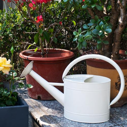1.3 Gallon Matte Cream Metal Watering Can, Removable Spout - color: Velvet Cream, size: 1.3 Gallon