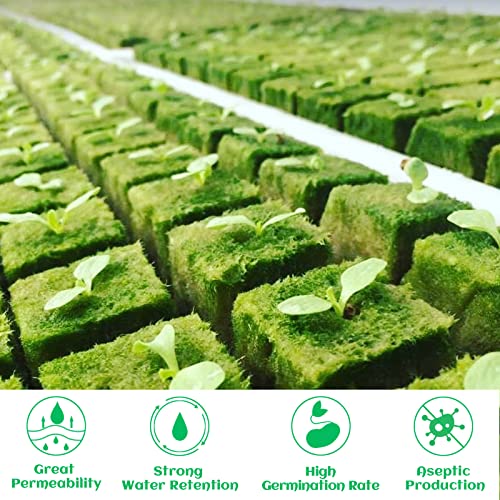 Legigo 1.2" Rockwool Cubes Seed Starter Plugs for Hydroponics, 216 Plugs - color: 6 Sheet, size: 1.2" Plugs