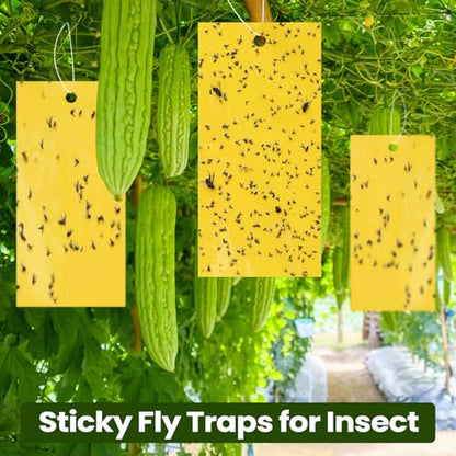 Qualirey 100 Pcs Yellow Sticky Traps for Gnats, 9.8 x 5.9 Inch - color: Yellow, size: 9.8 x 5.9 Inch