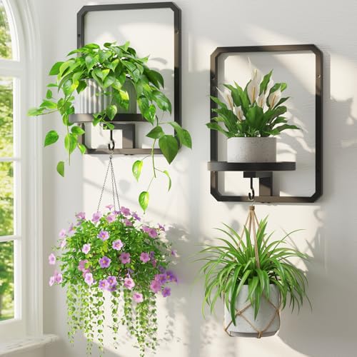 LASZOLA Plant Picture Frame Holder Shelf Wall Window Indoor, 2 Pcs Black - color: Black, size: 2