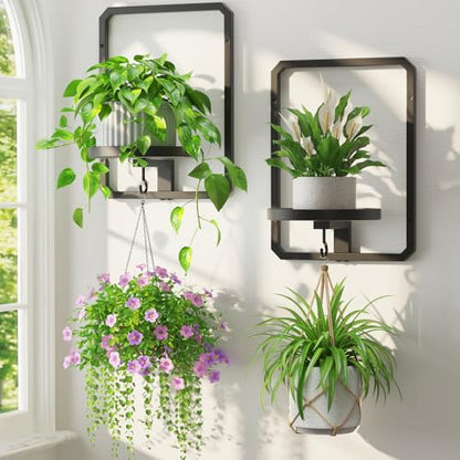 LASZOLA Plant Picture Frame Holder Shelf Wall Window Indoor, 2 Pcs Black - color: Black, size: 2