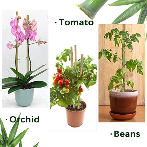 Plant Stakes,12IN Natural Garden Bamboo Sticks, 20Pcs Plant Support Stakes - size: 12 Inches, Pack of 20