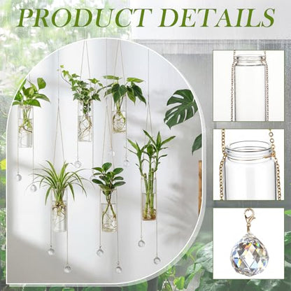 Hushee 6 Pcs Hanging Propagation Stations with Crystal Suncatcher