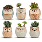 T4U Owl Succulent Pots, Mini Ceramic Gift Pots with Drainage, Retro 6 Pack - color: Owl, size: Pack of 6