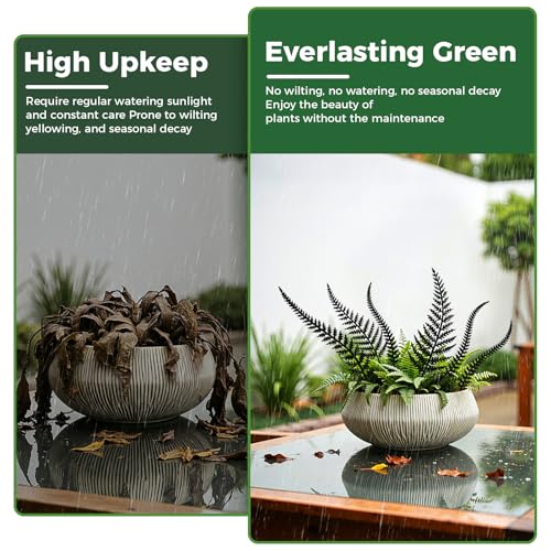 6-Piece Vintage Black Metal Fern Garden Stake Set - style: Black Fern Leaf Set