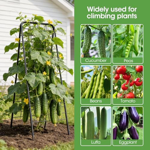 Heavy Duty Cucumber Trellis, 50" x 17" A-Frame Garden Trellis - size: 1 Pcs
