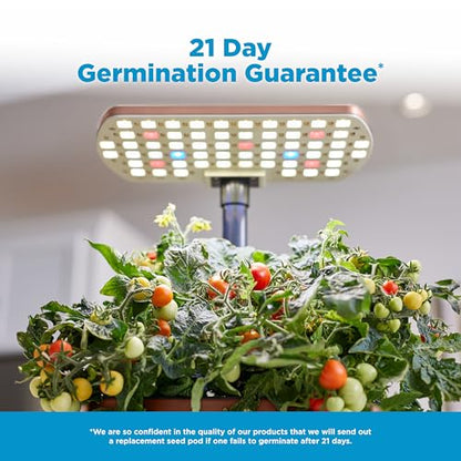 AeroGarden Harvest Lite, Mocha - color: Mocha, style: Harvest Lite