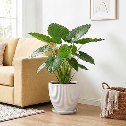 10 Inch Planter, Ceramic Plant Pots with Saucer, White - color: White, size: 10 Inch