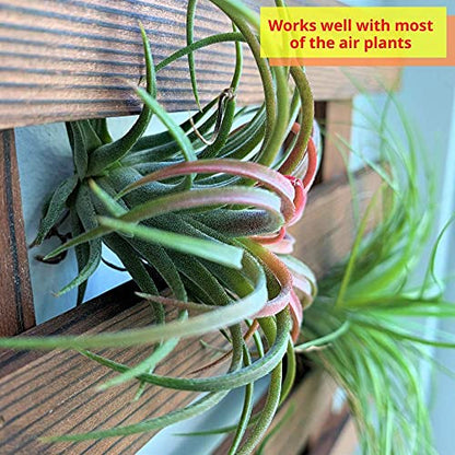 ShopLaLa Wooden Wall Planter (40cm, 4 Pack) Hanging Planters for Indoor - size: 40cm (15.7") x 4