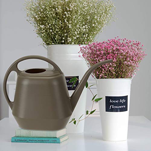 Fasmov Plastic Watering Can, 1-Gallon, Deep Gray - color: Deep Gray