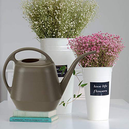 Fasmov Plastic Watering Can, 1-Gallon, Deep Gray - color: Deep Gray