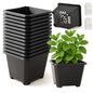 25 Packs Square Nursery Pots for Plants 3.5 Inch Seedling Pots with Holes - size: 3.5 Inch