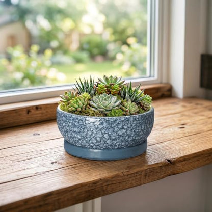 Ceramic Succulent Pots, 6 Inch Bonsai Tree Pot with Tray, Scale Blue - color: Scale Blue, size: 6 Inch