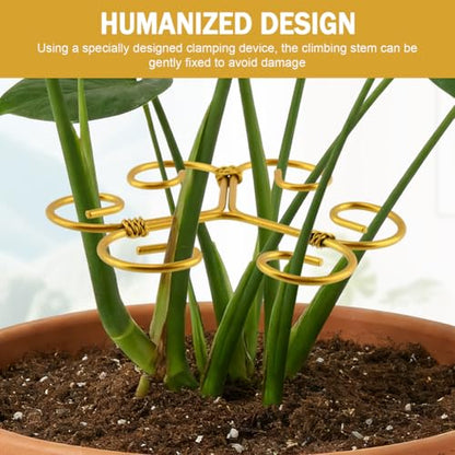 5Pcs Plant Stem Support Iron Monstera Plants Supports - color: Gold