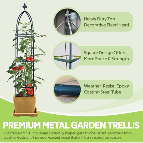 100% Garden Trellis Metal Obelisk Trellis for Climbing Plants Outdoor - color: Green