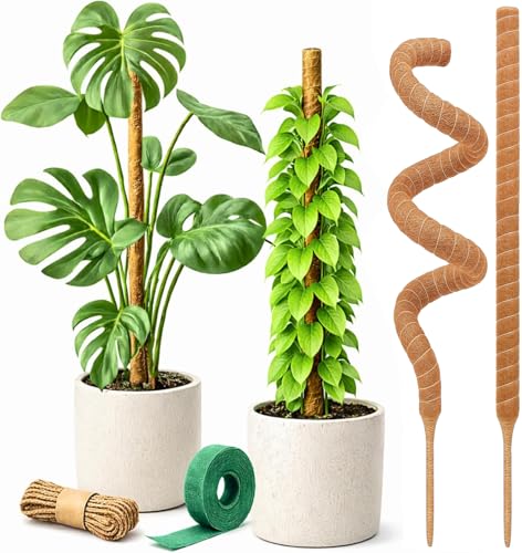 Craft911 29" Moss Pole Monstera Plant Support, Indoor Plant Stakes - size: 2-Pack (29 in)