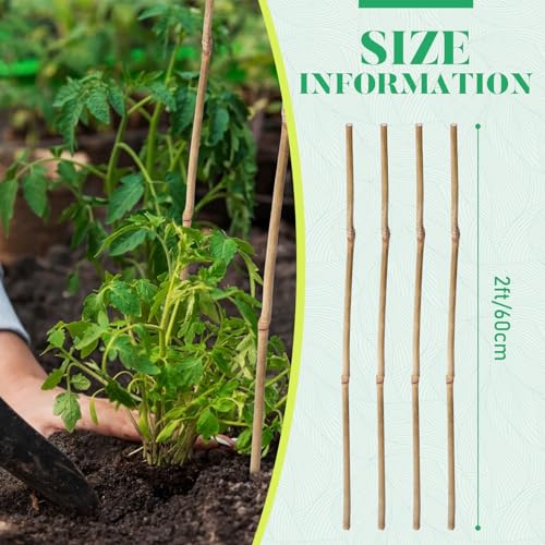 Suclain 100 Pcs Bamboo Plant Stakes Natural Garden Support Sticks,2 ft - size: 2 ft