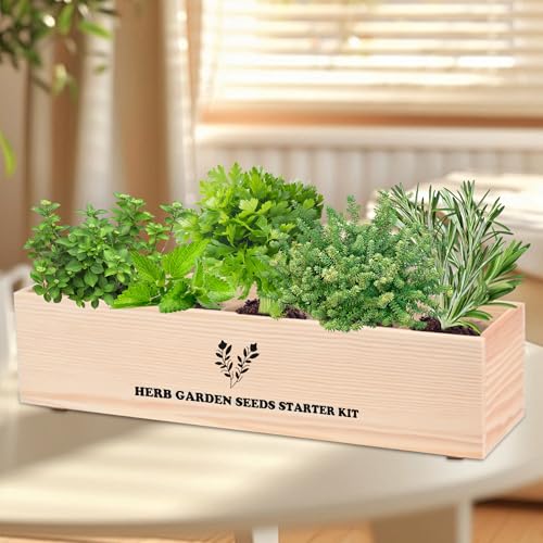 Indoor Herb Garden Starter Kit, Including A Complete Gardening Tools for Women Parents Gift