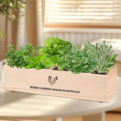 Indoor Herb Garden Starter Kit, Including A Complete Gardening Tools for Women Parents Gift