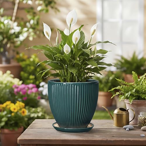 Ceramic Flower Pots, 6 Inch Planters with Saucer, Blackish Gree - color: Blackish Green, size: 6 Inch