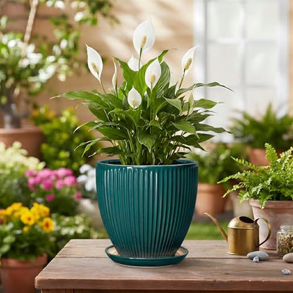 Ceramic Flower Pots, 6 Inch Planters with Saucer, Blackish Gree - color: Blackish Green, size: 6 Inch
