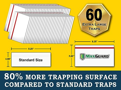 MaxGuard Window Fly Traps (60 XL Traps) Catch & Kill Houseflies, Flying Insects & Bugs. Non-Toxic Sticky Glue Traps Fly Killer Clear Strip Insect Catcher Safe No Zapping with Zapper | - size: 60 XL Traps