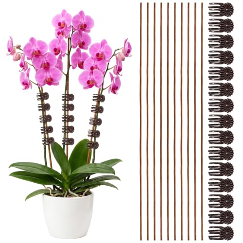 10Pcs Plant Support Stakes with 15Pcs Plant Clips Bendable Plant Sticks
