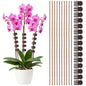 10Pcs Plant Support Stakes with 15Pcs Plant Clips Bendable Plant Sticks