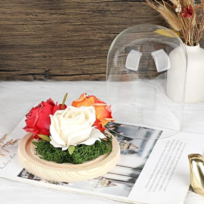 Hipiwe Glass Display Dome Cloche with Wood Base Clear Glass Display Bell Jar Decorative Flower Display Dome for Plants, Figure, Antique Collectibles, 4.5 x 6.1 Inches - size: 4.5 x 6.1 Inch