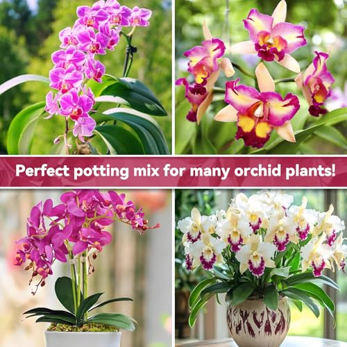 Riare 1QT Orchid Potting Mix for Repotting, Pre-Mixed & Ready-to-Use - size: 1 Quart