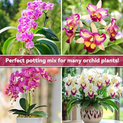 Riare 1QT Orchid Potting Mix for Repotting, Pre-Mixed & Ready-to-Use - size: 1 Quart