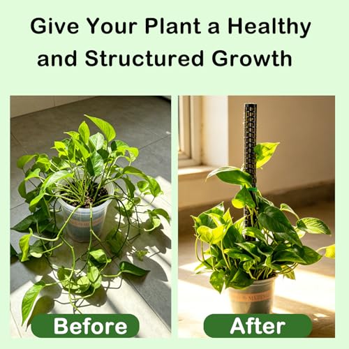 Stackable Small Moss Pole for Monstera Pothos, Fillable Support - size: 4pack-small-black