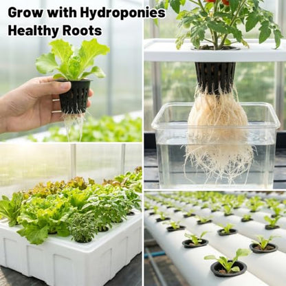 200PCS 2 inch Net Pots Hydroponics Cup Slotted Mesh Net Cup Planting Basket