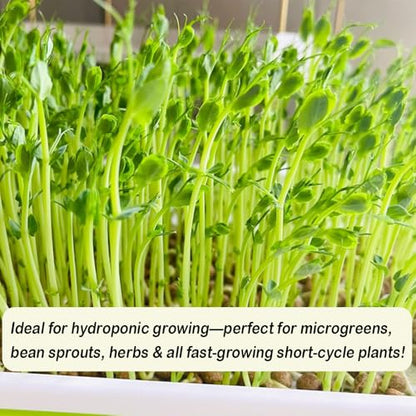 1 Roll 10" x 120" Microgreens Growing Trays Jute Mat Kits, Hydroponic Planting Mat & Seed Germination Pad for Wheatgrass, Bean Sprouts, Hydroponic Seed Growing | Works with Growing Trays - size: 10x120