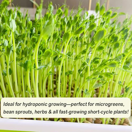 1 Roll 10" x 220" Microgreens Growing Trays Jute Mat Kits, Hydroponic Planting Mat & Seed Germination Pad for Wheatgrass, Bean Sprouts, Hydroponic Seed Growing | Works with Growing Trays - size: 10x220