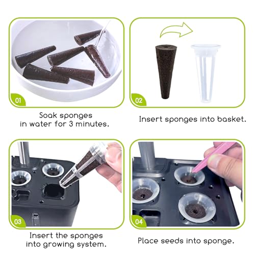 Grow Sponges 50 Pack, 0.94" W*2.56" H