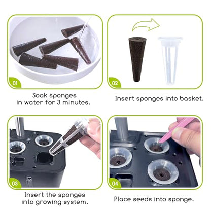 Grow Sponges 50 Pack, 0.94" W*2.56" H