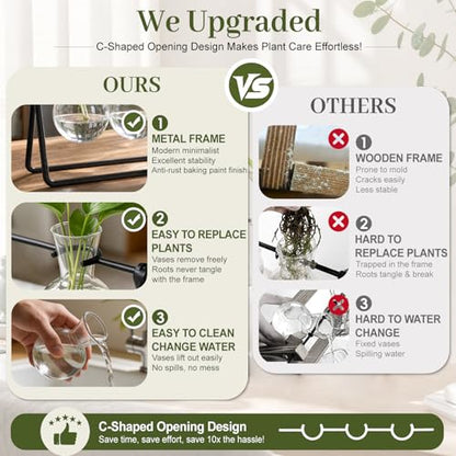 Plant Propagation Stations, Plant Terrarium with Minimalist Metal Stand