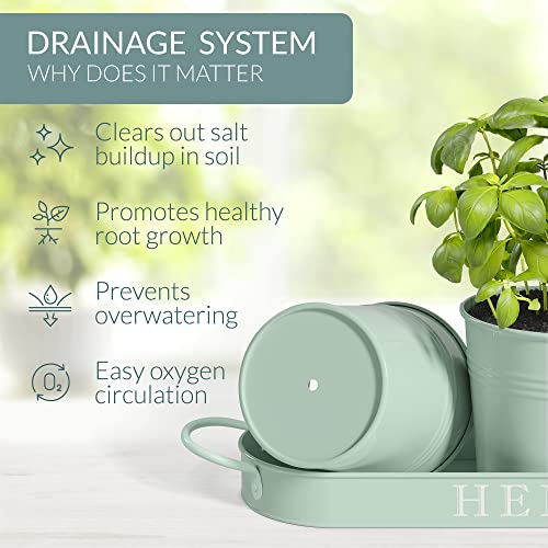 Barnyard Designs Indoor Herb Garden Planter Pots Set/3 (Soft Mint) - color: Soft Mint
