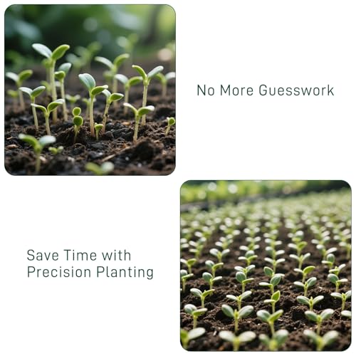 12 Hole Seed Dibber Seed Spacing Tool, Vegetable Seed Planter Tool
