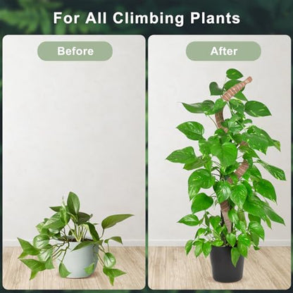 60 Inch Moss Pole, Bendable Moss Pole for Plants Monstera, Tall Moss Poles for Climbing Plants Indoor, Large Support, Garden Trellis Stick Stakes for Plants - size: 60 Inch